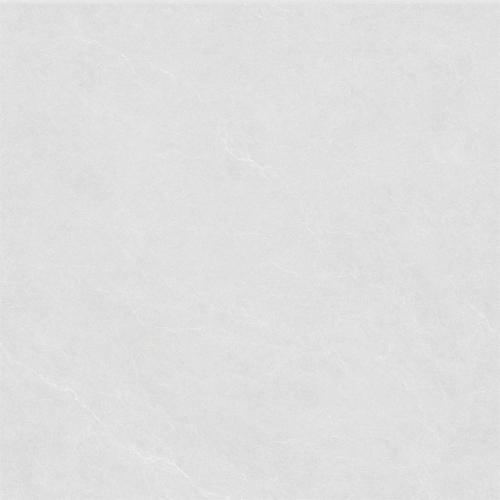 GMP88690-維羅娜-03