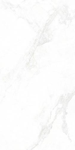 GMA156006-寒江雪-3-