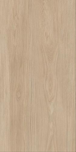 GMKG12611M梧桐疏影